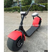 1000W60V Myhope OEM Halley Electric Scooter YXEB-717S